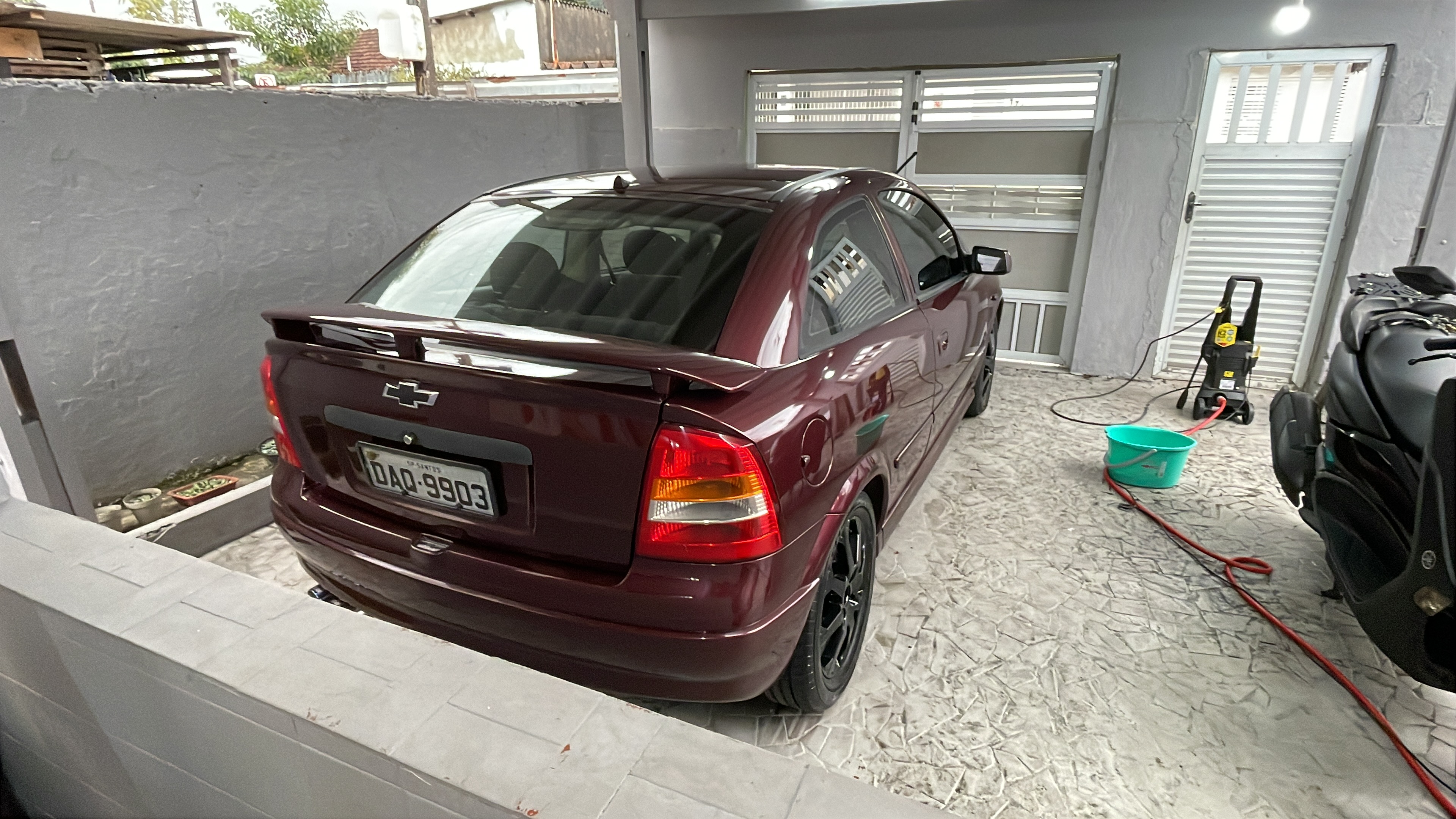 Astra famosa ruiva